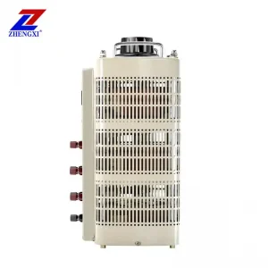 Adjustable Single-Phase Voltage Regulator Transformer | 0-250V AC Output